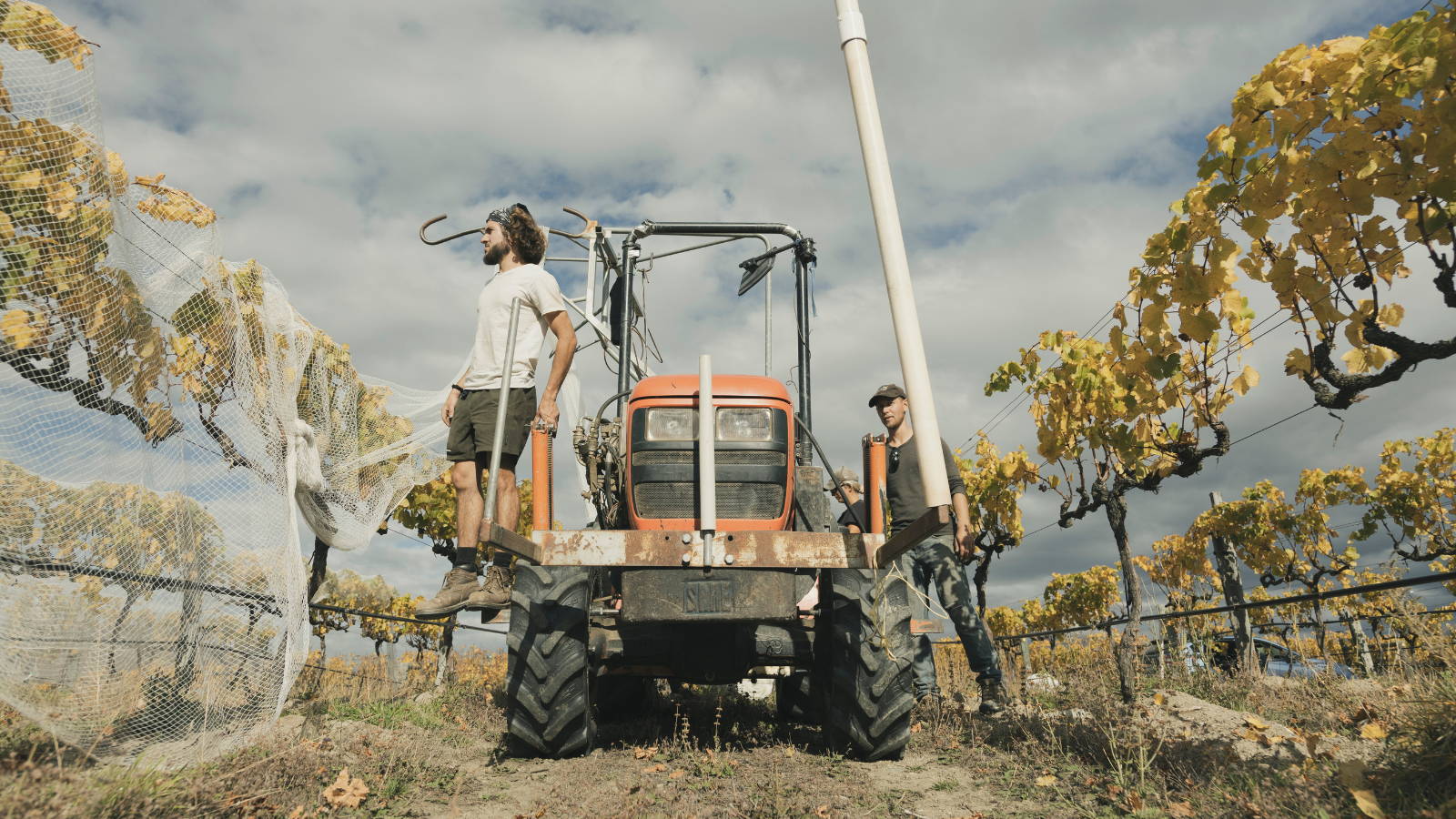 バノックバーン シャルドネ［白］ – 柴田屋酒店 online